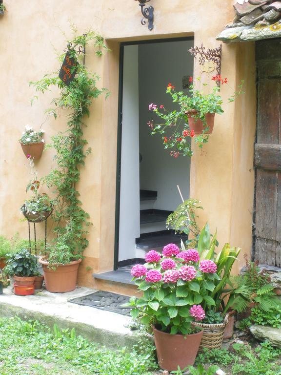 B&B Nelly G Carbuta Dış mekan fotoğraf