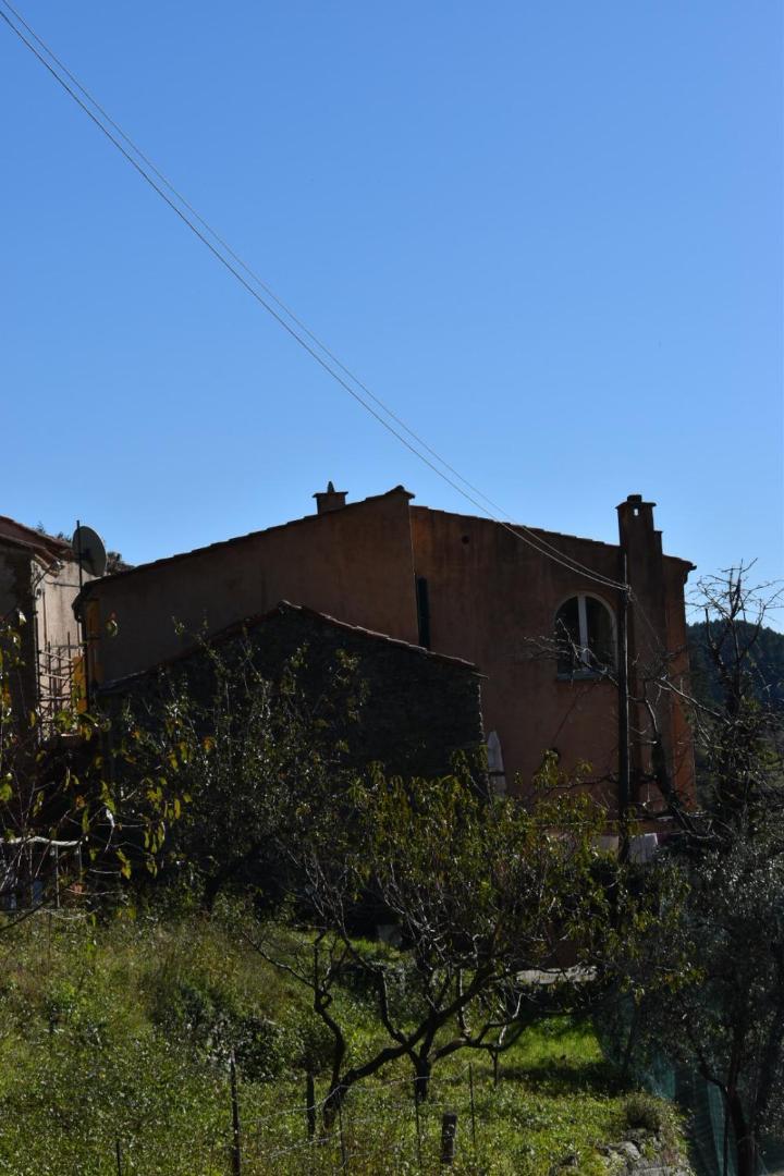 B&B Nelly G Carbuta Dış mekan fotoğraf